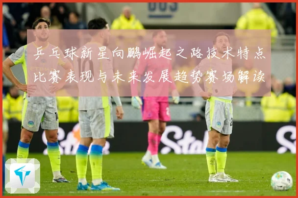 乒乓球新星向鹏崛起之路技术特点比赛表现与未来发展趋势赛场解读：最新赛事动态与深度分析